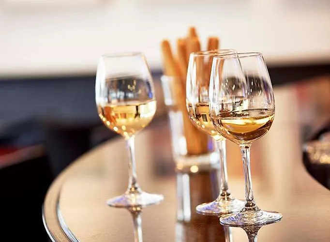 Sorell Business Ador 伯尔尼