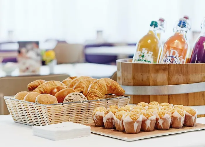 Sorell Business Ador 酒店